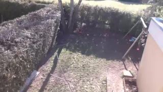 claracokine1 27022017