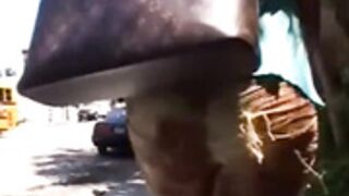 Ariana Jollee and Vanity