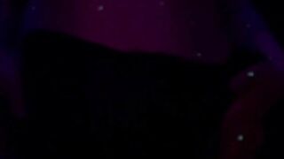 Bee under the shower