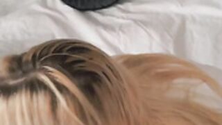 Ocicat Pillow Humping Orgasm