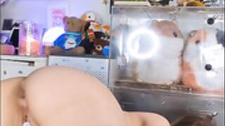 Lana Rain: Casual Panty And Sex Toy Compilation