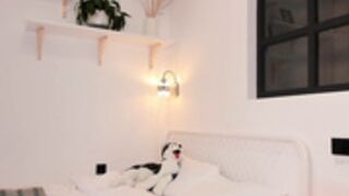 coy_amina 2022-09-06 p3