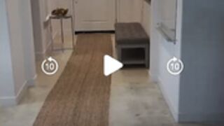 Allegra Cole new ass