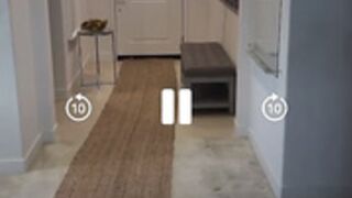 Allegra Cole new ass