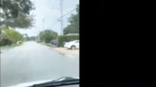 TyNadia fucks on the fan bus