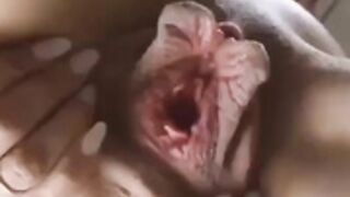 Singing pussy - funny