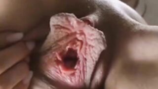 Singing pussy - funny