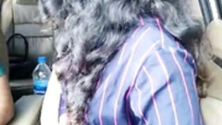 sexy lust couple in car