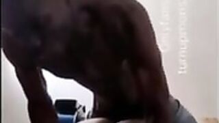 doggy backshots