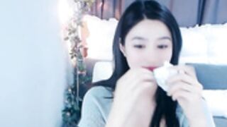 fairy-131419 20221105