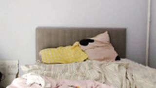 sexytigress 42