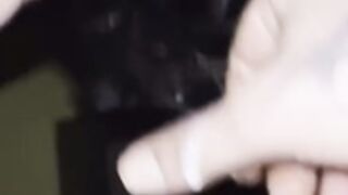 Anais brook steph rools