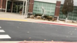 endless kink office sex