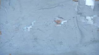 milla_jo - 2017-02-28