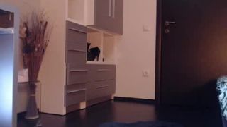 Wowxgirl (Angrybirds_girl) masturbating