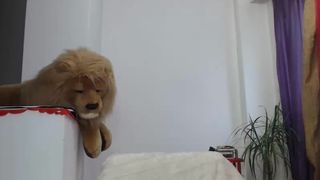 littlesonia 2017-03-05