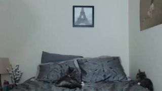 scarletjon 2015-08-21