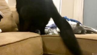 C|-|R0|\|!C|0\/3 2022-07-15_00-26-56_36301