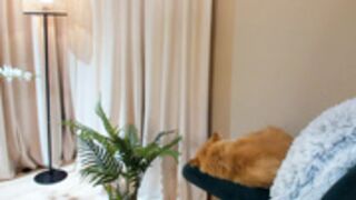 Serendypity November-10-2022