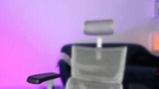 sweetcobra November 20 2022