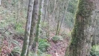 Elena hiking naked