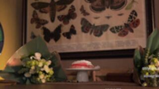 Effyloweell play birthday cake  11/19/2022