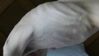 anorexic Denisa 8t00082