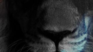 Karillia69 Private webcam