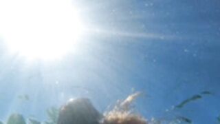 tinytcookie buttplug swimming