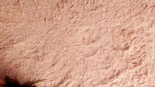 AmandaMedrano - 221202 - Ticket Show