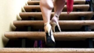 Brenda's Brutal pair calves compared